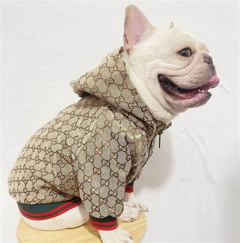 gucci for dogs clothing|designer dog clothes gucci.